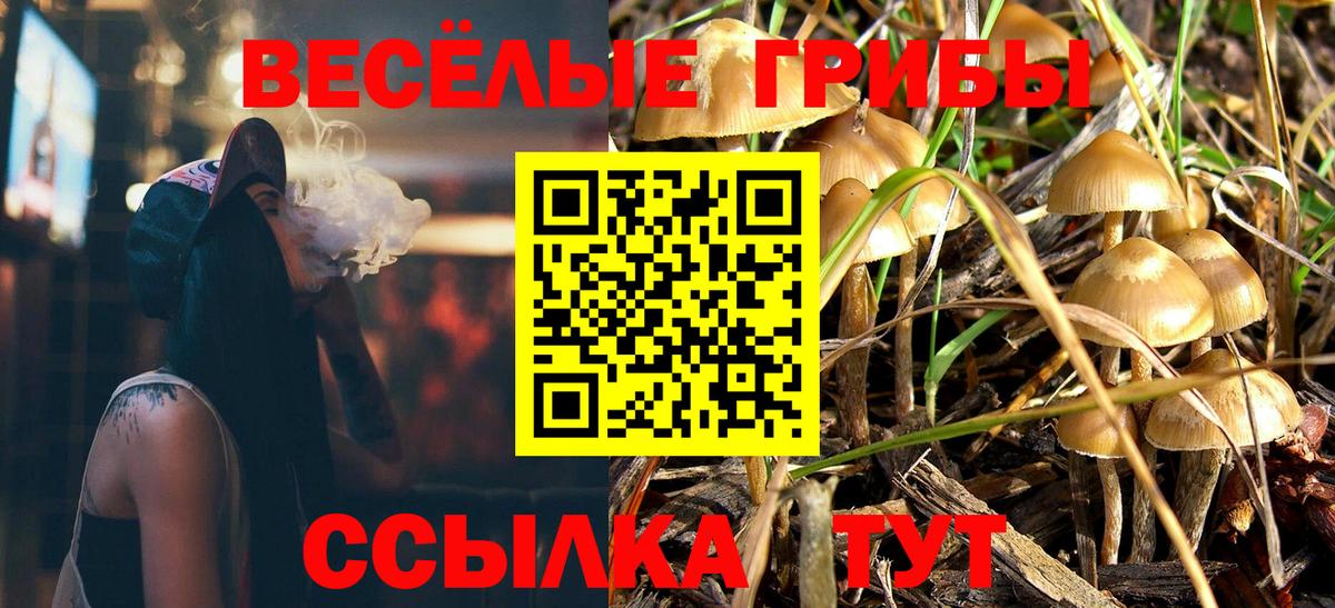 Псилоцибиновые грибы мухоморы  Галлюциногенные грибы Psilocybe  Вход с VPN  наркошоп  Кандалакша 